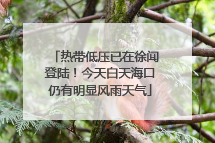 热带低压已在徐闻登陆！今天白天海口仍有明显风雨天气
