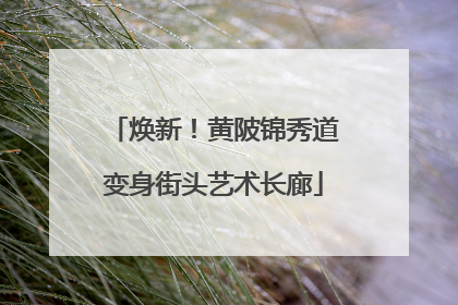 焕新！黄陂锦秀道变身街头艺术长廊