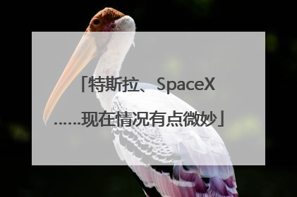 特斯拉、SpaceX……现在情况有点微妙
