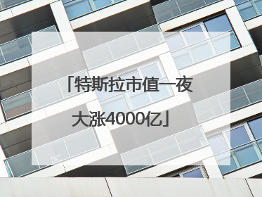 特斯拉市值一夜大涨4000亿