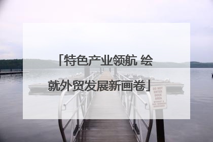 特色产业领航 绘就外贸发展新画卷