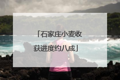 石家庄小麦收获进度约八成