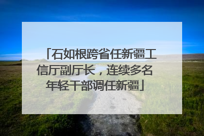 石如根跨省任新疆工信厅副厅长，连续多名年轻干部调任新疆