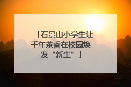 石景山小学生让千年茶香在校园焕发“新生”