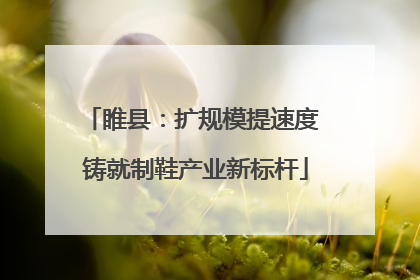 睢县：扩规模提速度 铸就制鞋产业新标杆