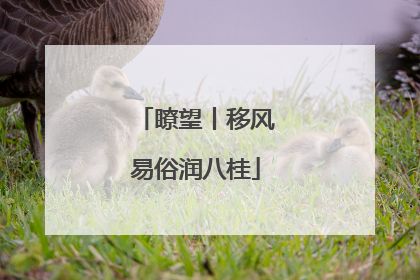 瞭望丨移风易俗润八桂