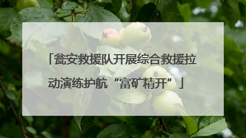 瓮安救援队开展综合救援拉动演练护航“富矿精开”