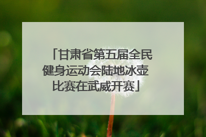 甘肃省第五届全民健身运动会陆地冰壶比赛在武威开赛
