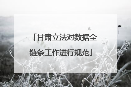 甘肃立法对数据全链条工作进行规范