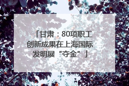 甘肃：80项职工创新成果在上海国际发明展“夺金”