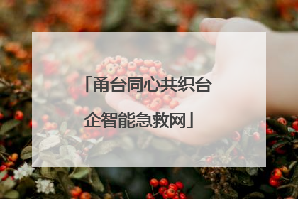 甬台同心共织台企智能急救网