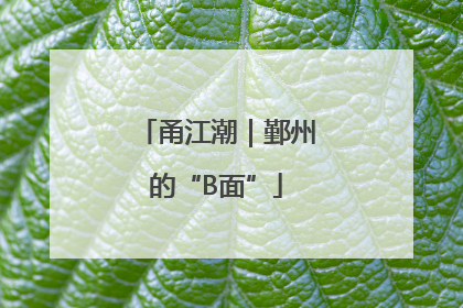 甬江潮｜鄞州的“B面”