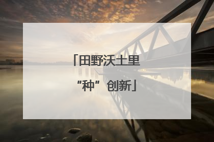 田野沃土里“种”创新