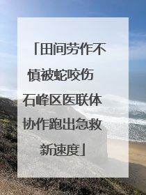 田间劳作不慎被蛇咬伤 石峰区医联体协作跑出急救新速度