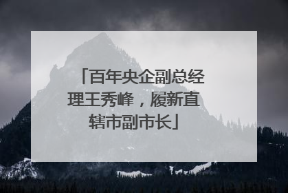 百年央企副总经理王秀峰，履新直辖市副市长