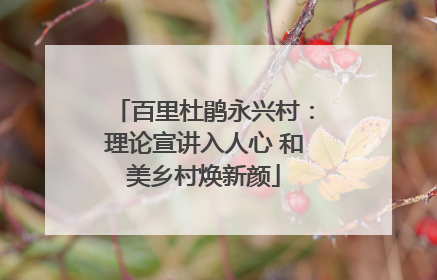百里杜鹃永兴村：理论宣讲入人心 和美乡村焕新颜