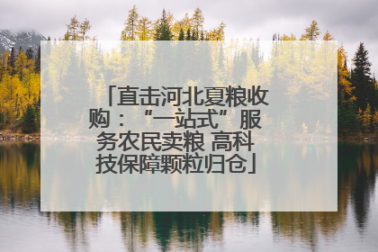 直击河北夏粮收购：“一站式”服务农民卖粮 高科技保障颗粒归仓