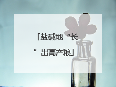 盐碱地“长”出高产粮
