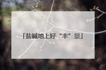 盐碱地上好“丰”景