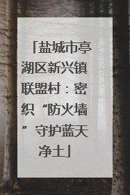 盐城市亭湖区新兴镇联盟村：密织“防火墙”守护蓝天净土