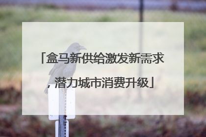 盒马新供给激发新需求，潜力城市消费升级