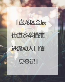 盘龙区金辰街道多举措推进流动人口信息登记