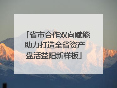 省市合作双向赋能 助力打造全省资产盘活益阳新样板