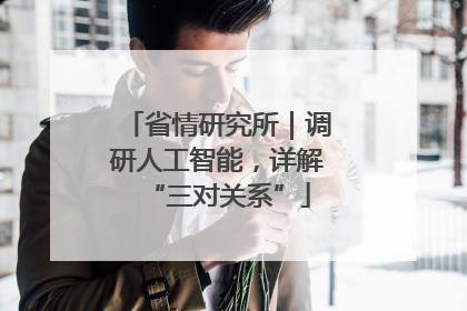 省情研究所｜调研人工智能，详解“三对关系”