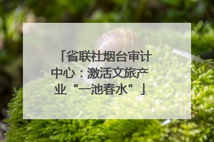 省联社烟台审计中心：激活文旅产业“一池春水”