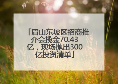 眉山东坡区招商推介会揽金70.43亿，现场抛出300亿投资清单