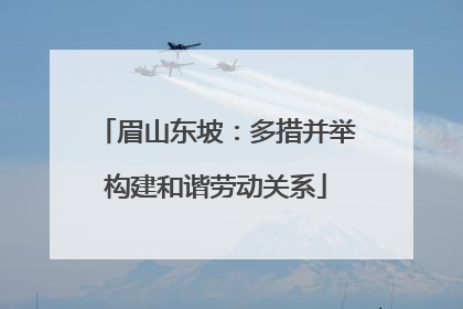 眉山东坡：多措并举构建和谐劳动关系
