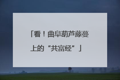 看！曲阜葫芦藤蔓上的“共富经”