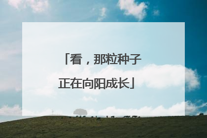 看，那粒种子正在向阳成长