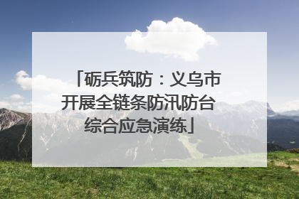 砺兵筑防：义乌市开展全链条防汛防台综合应急演练