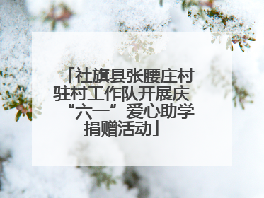 社旗县张腰庄村驻村工作队开展庆“六一”爱心助学捐赠活动