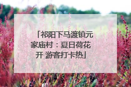 祁阳下马渡镇元家庙村：夏日荷花开 游客打卡热