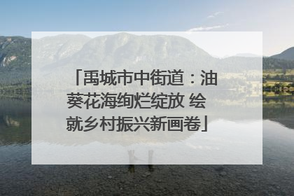 禹城市中街道：油葵花海绚烂绽放 绘就乡村振兴新画卷