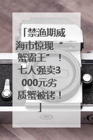 禁渔期威海市惊现“蟹霸王”！七人强卖3000元劣质蟹被铐！