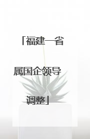 福建一省属国企领导调整