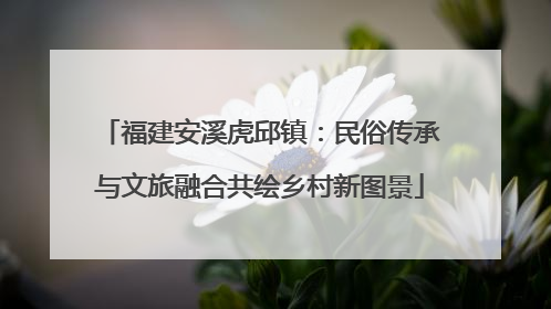 福建安溪虎邱镇：民俗传承与文旅融合共绘乡村新图景