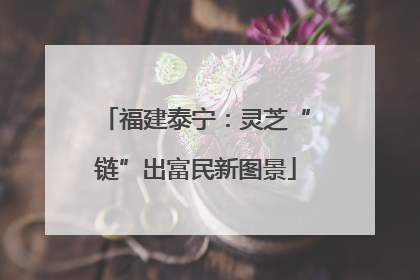 福建泰宁：灵芝“链”出富民新图景