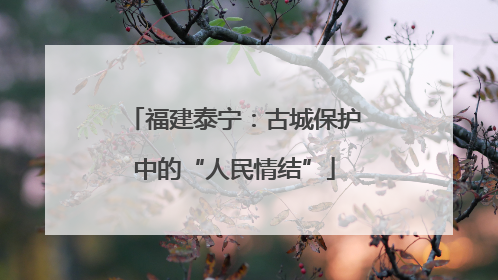 福建泰宁：古城保护中的“人民情结”