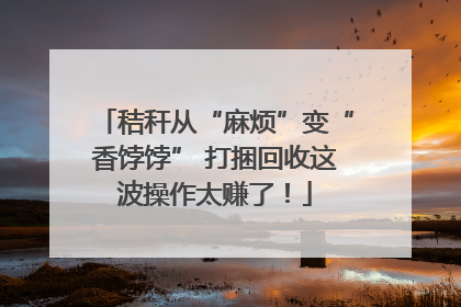 秸秆从“麻烦”变“香饽饽” 打捆回收这波操作太赚了！