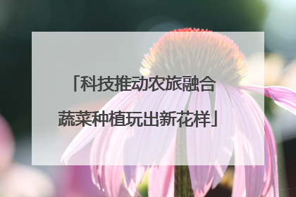 科技推动农旅融合 蔬菜种植玩出新花样