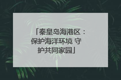 秦皇岛海港区：保护海洋环境 守护共同家园