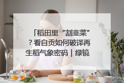 稻田里“割韭菜”？看自贡如何破译再生稻气象密码｜绿镜头·发现中国