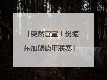 突然官宣！樊振东加盟德甲联赛