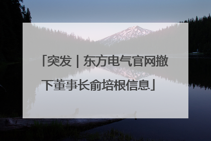 突发｜东方电气官网撤下董事长俞培根信息