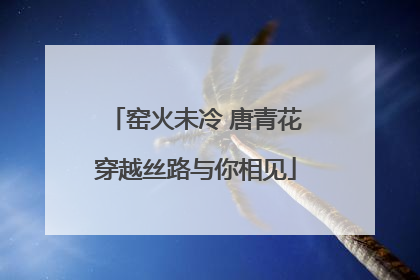 窑火未冷 唐青花穿越丝路与你相见