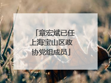 章宏斌已任上海宝山区政协党组成员